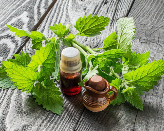 MELLISA OIL