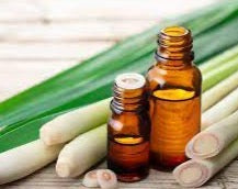 LEMONGRASS OIL